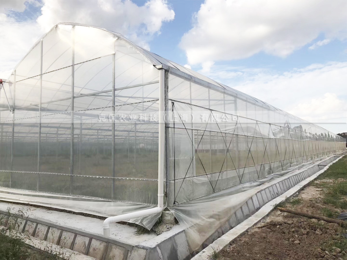 10丝白色长寿流滴膜