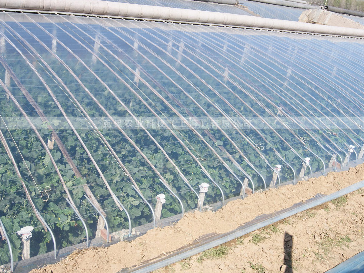 10丝蓝色长寿流滴膜