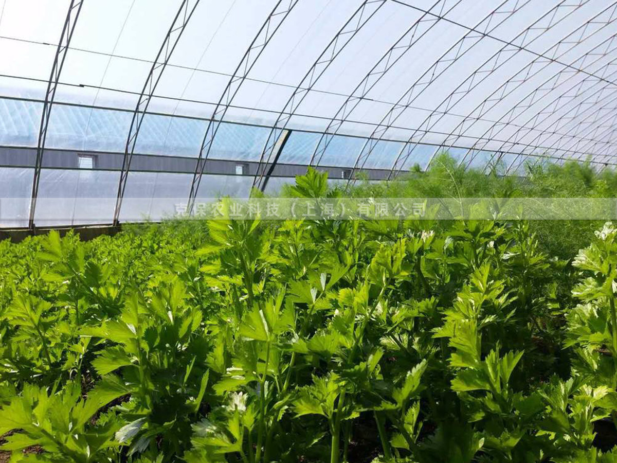 8丝蓝色长寿流滴膜