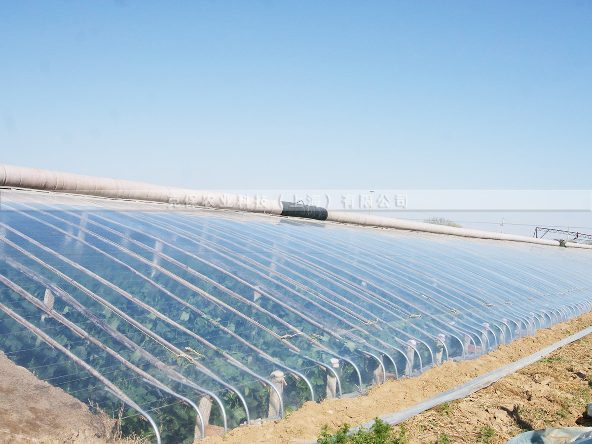 12丝蓝色长寿流滴膜